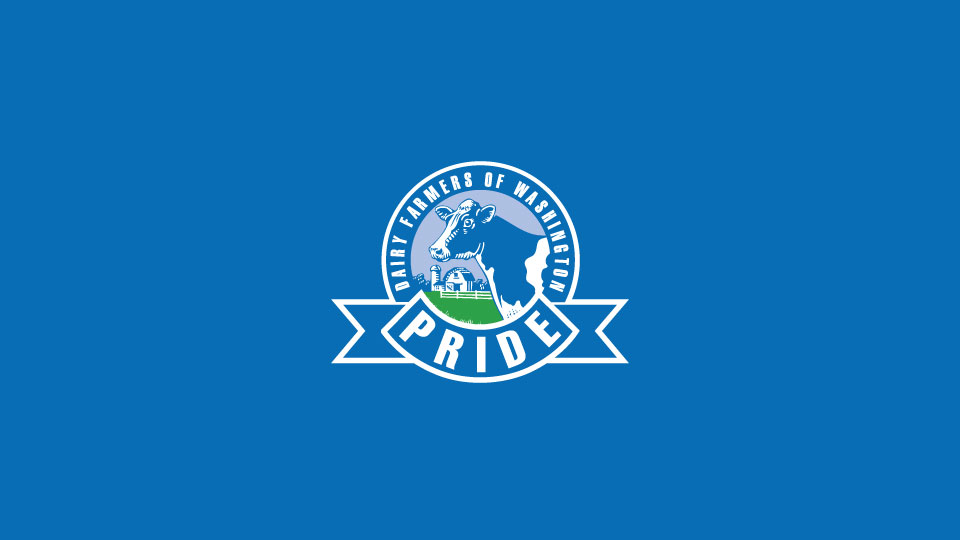 Washington Dairy - logo