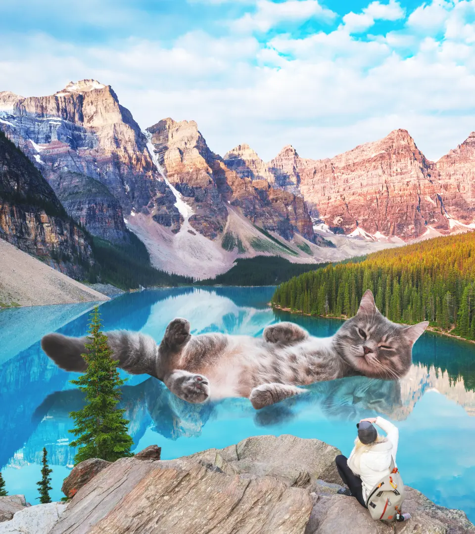 Adobe Photoshop Elements Social Post